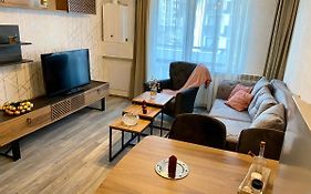 Luxury Apartments Studenets